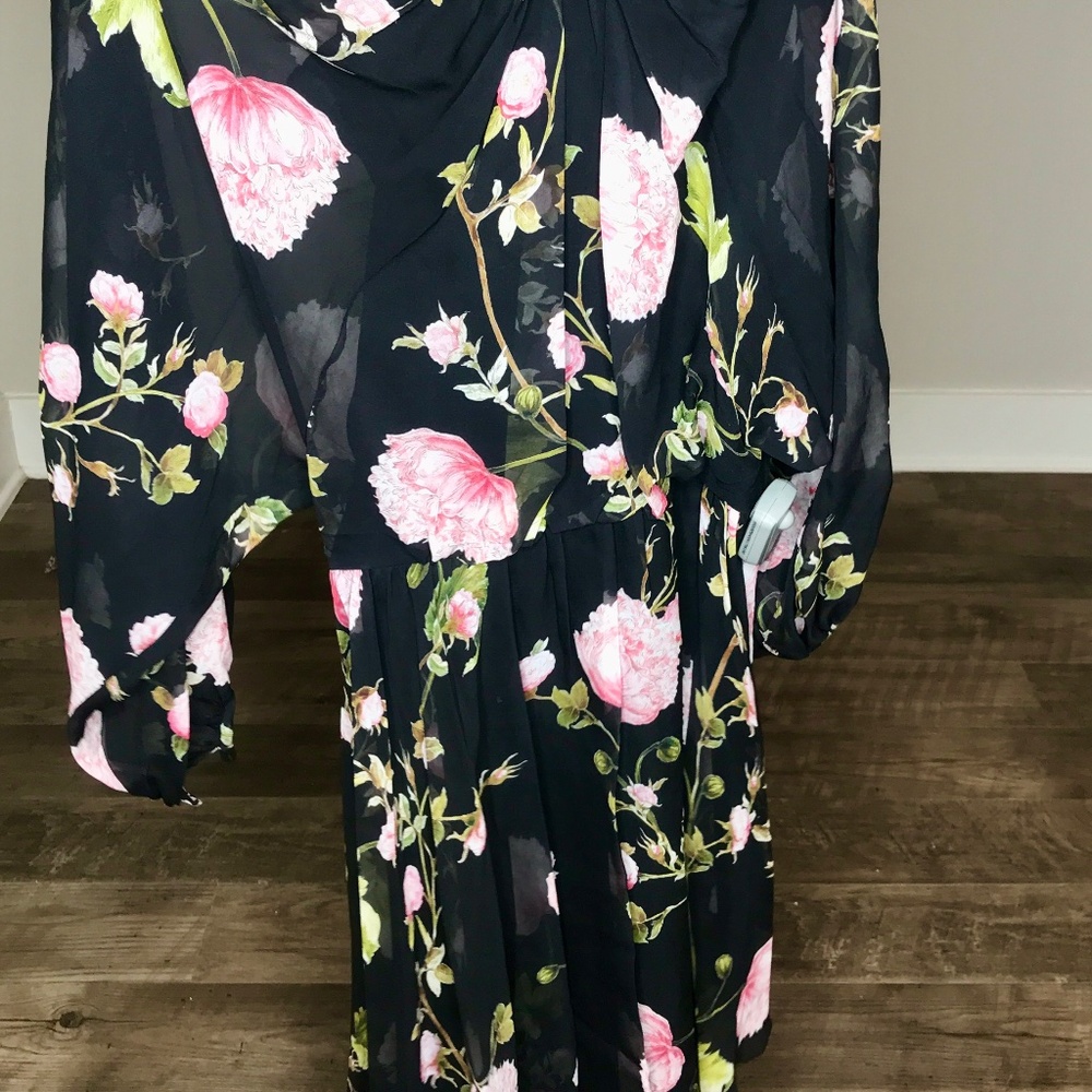 NWT: Giambattista Valli Silk Dress